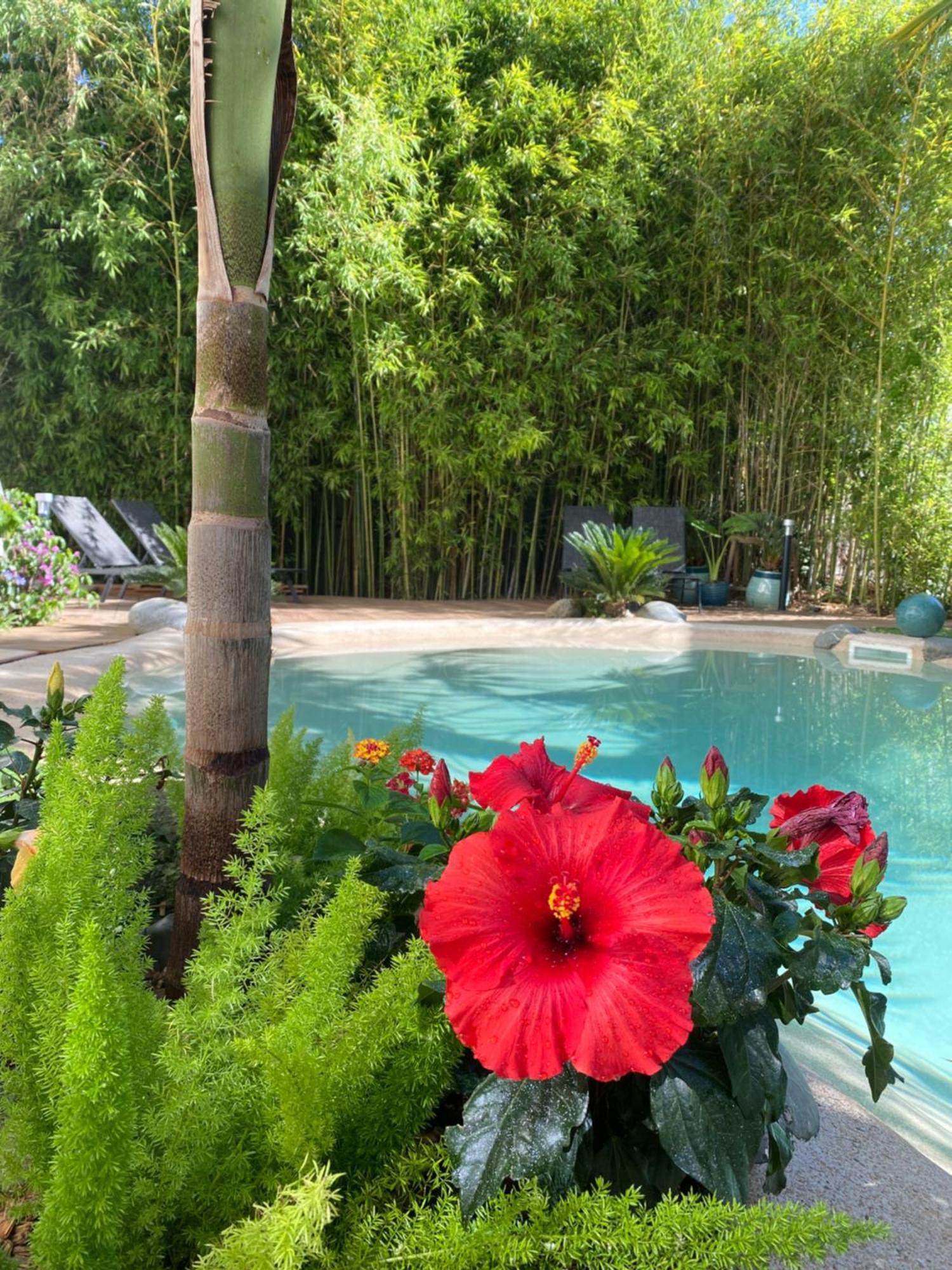Appt Ambiance Boheme 2 Ch Piscine Lagon Lägenhet Tarbes Exteriör bild